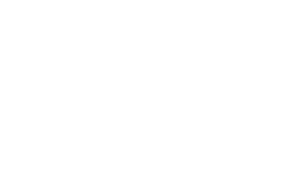 logo white